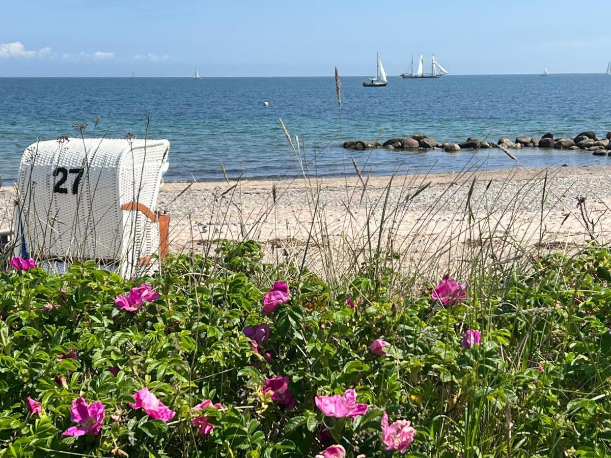 Seelund - Meeresrauschen Lauschen - Ruhiges Sonniges Apartment Mit Garten Und Terrasse Nahe Strand Und Ostsee Schönhagen Exteriör bild